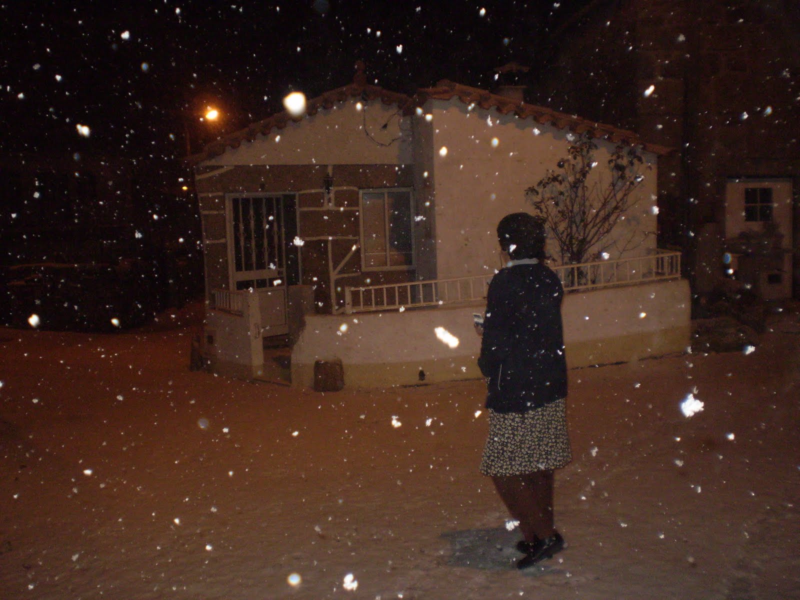 [PC110114.JPG]