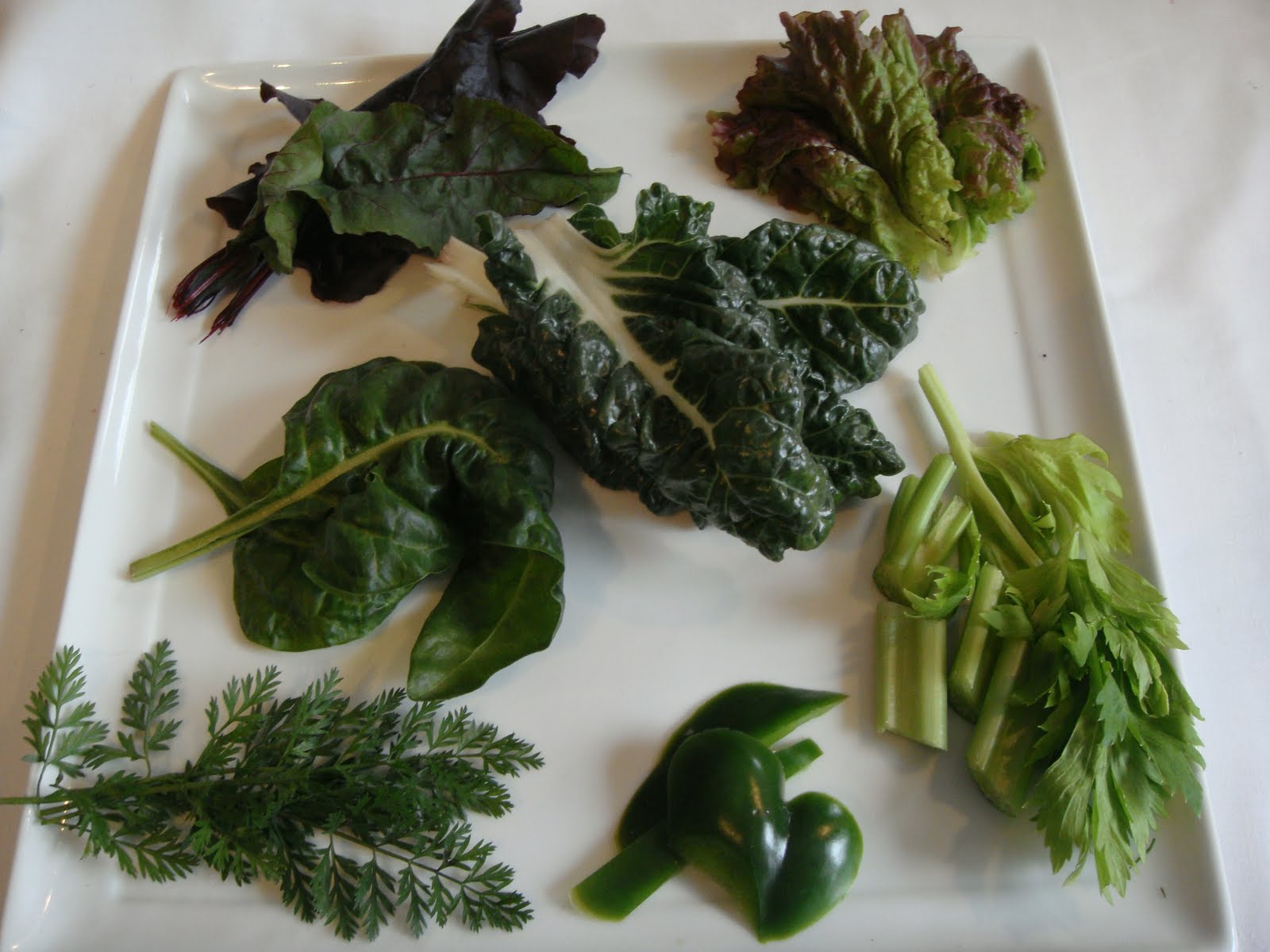 Rabbits For Pets What Do Rabbits Eat?