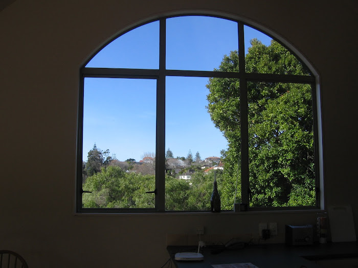 Our Kitchen Window