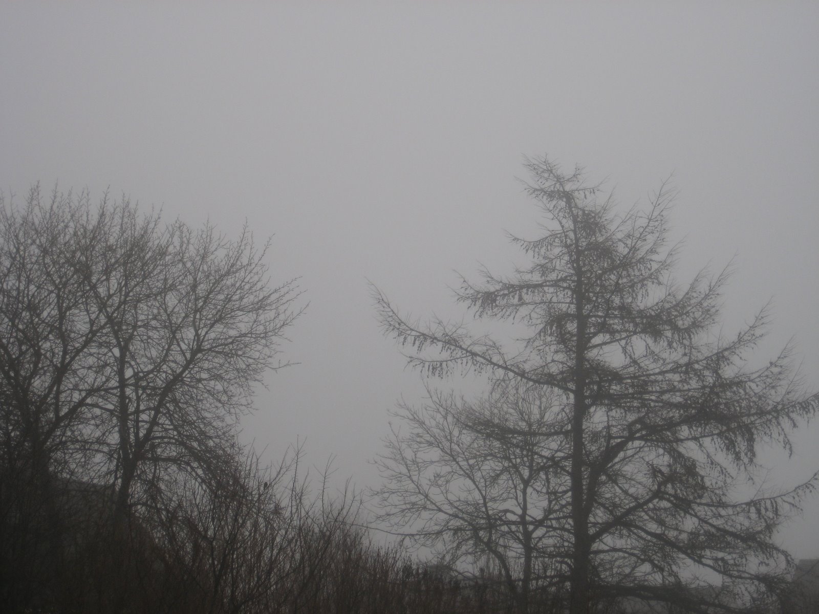 [snow+016.JPG]