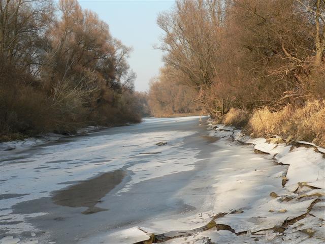 [P1170033+(Small).JPG]