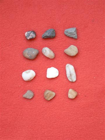 [P1100564+(Small).JPG]