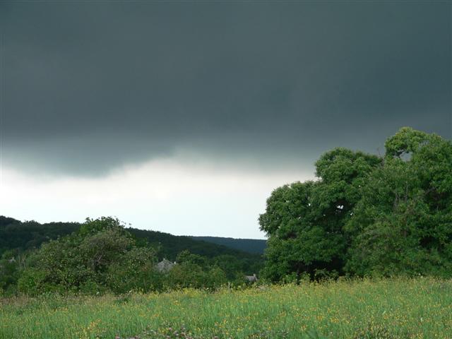 [P1110280+(Small).JPG]