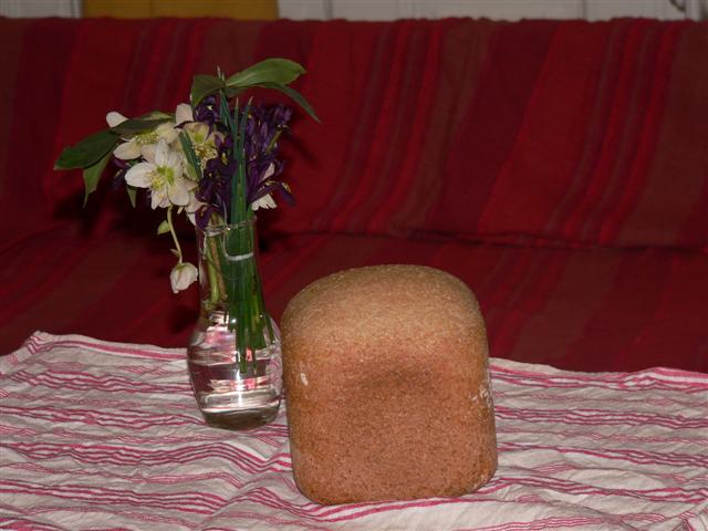 [P1090565+(Small).JPG]