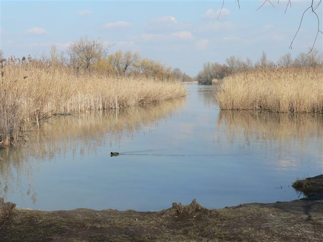 [P1130666+(Small).JPG]