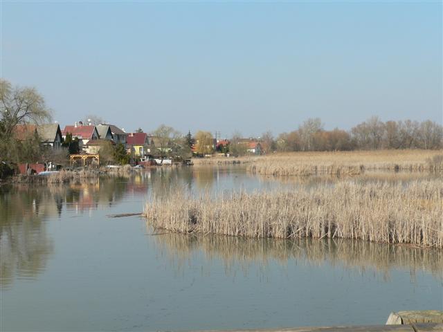 [P1130720+(Small).JPG]