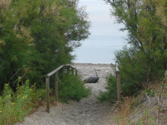 [P1020313+(Small).JPG]