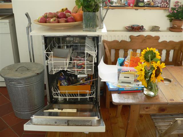 [P1150098+(Small).JPG]