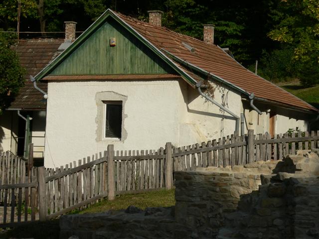 [P1160027+(Small).JPG]