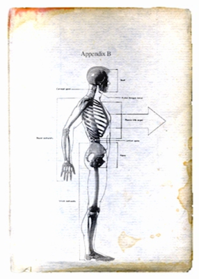 Apêndice B - ilustração do livro de Roberta Sparrow