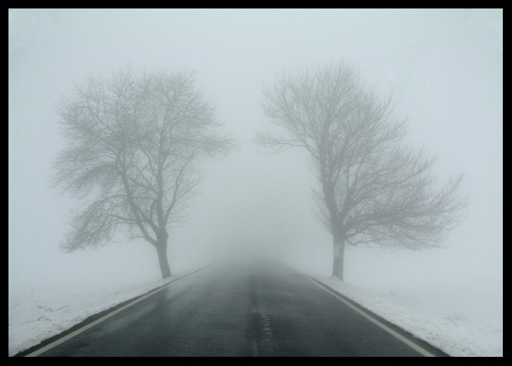 neblina ella hermanastros neblina ella hermanastros