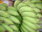 pisang muda