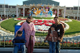 Christmas 2008 at Tokyo Disneyland