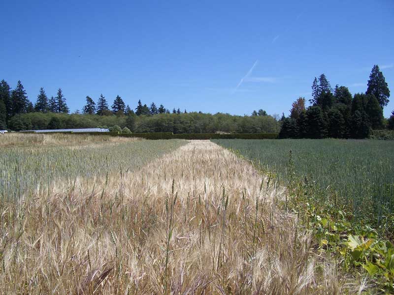 [grass.jpg]