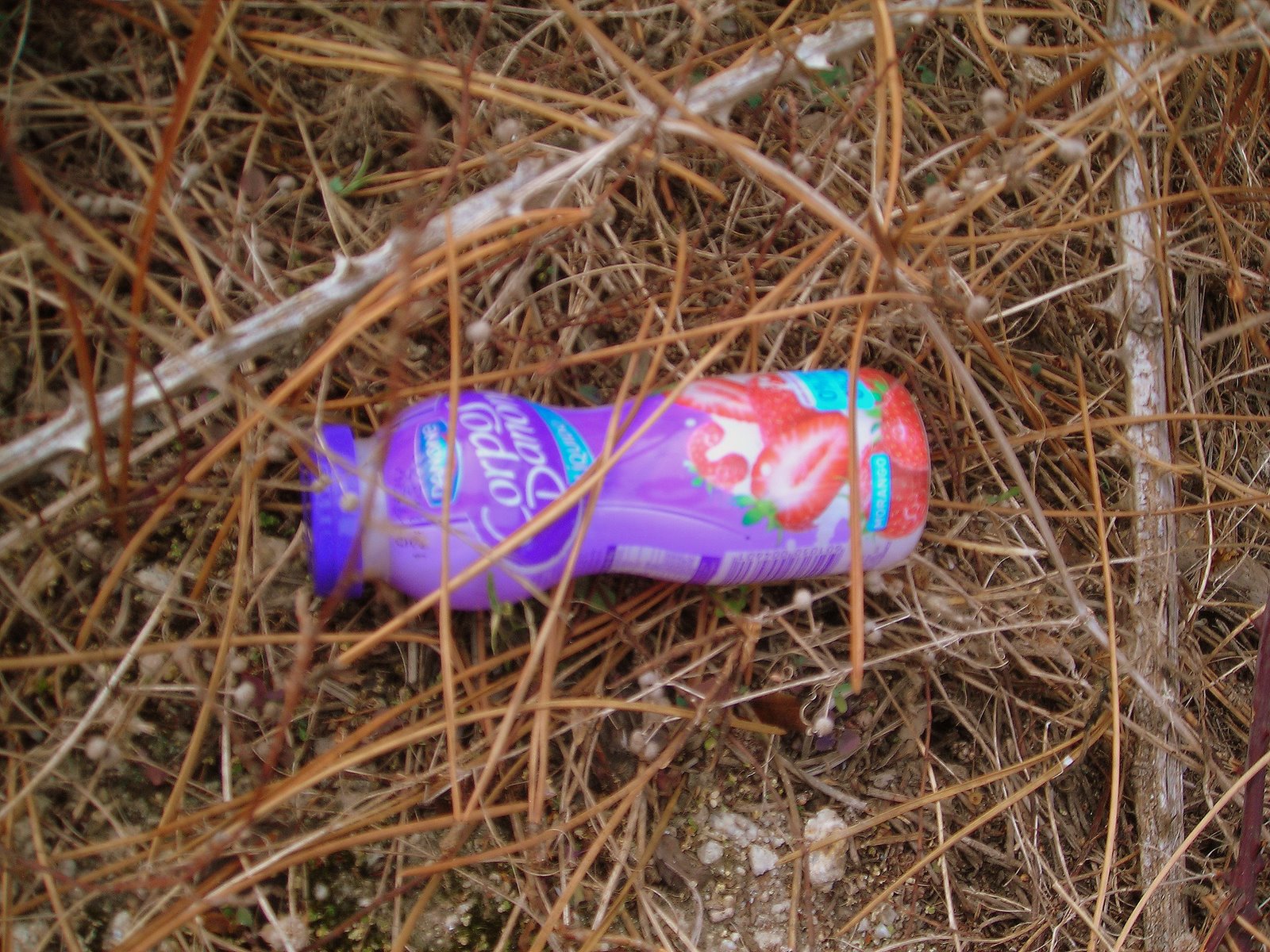 [LIXO_DANONE_AGULHAS.jpg]