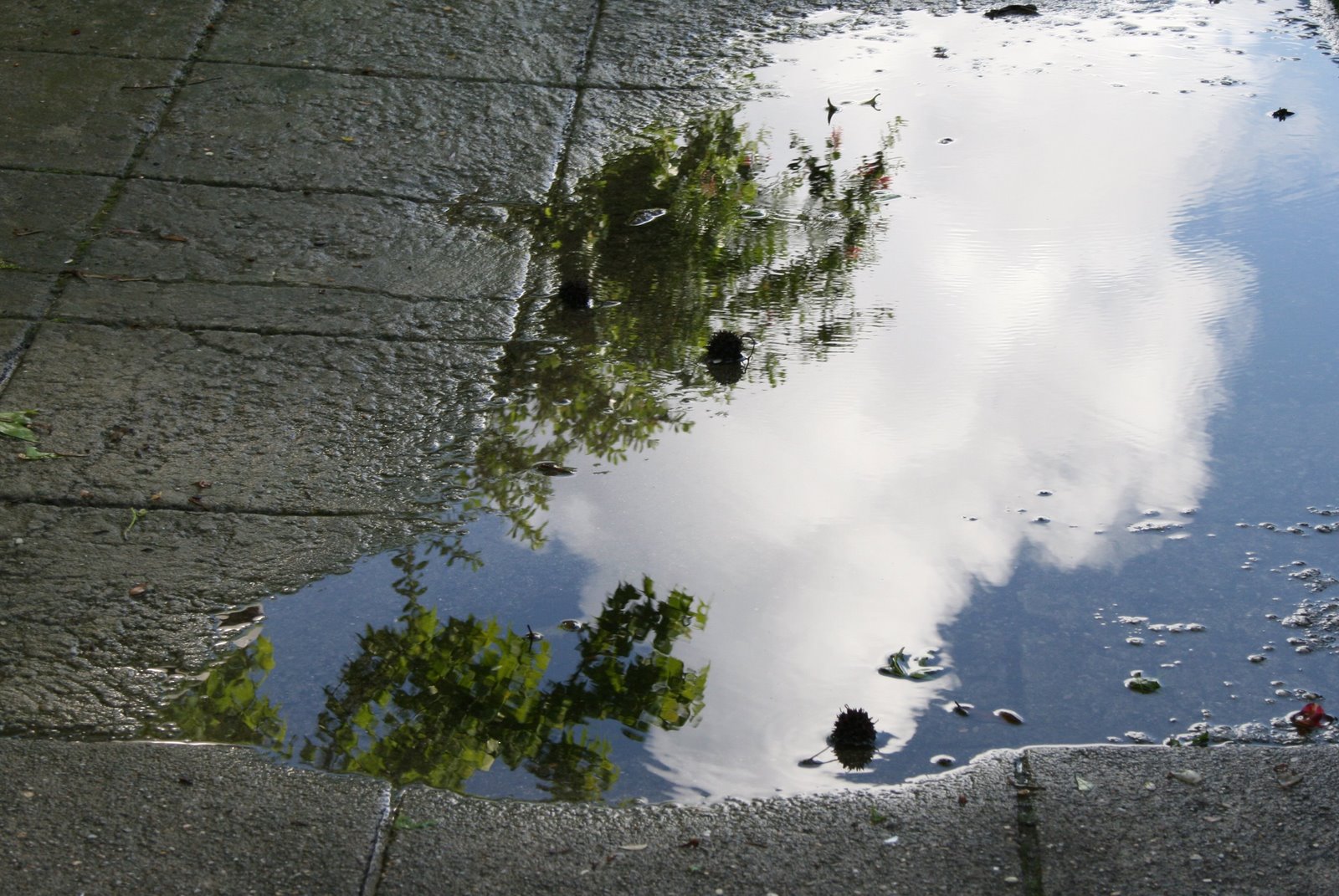 [CHUVA_REFLEXOS.jpg]