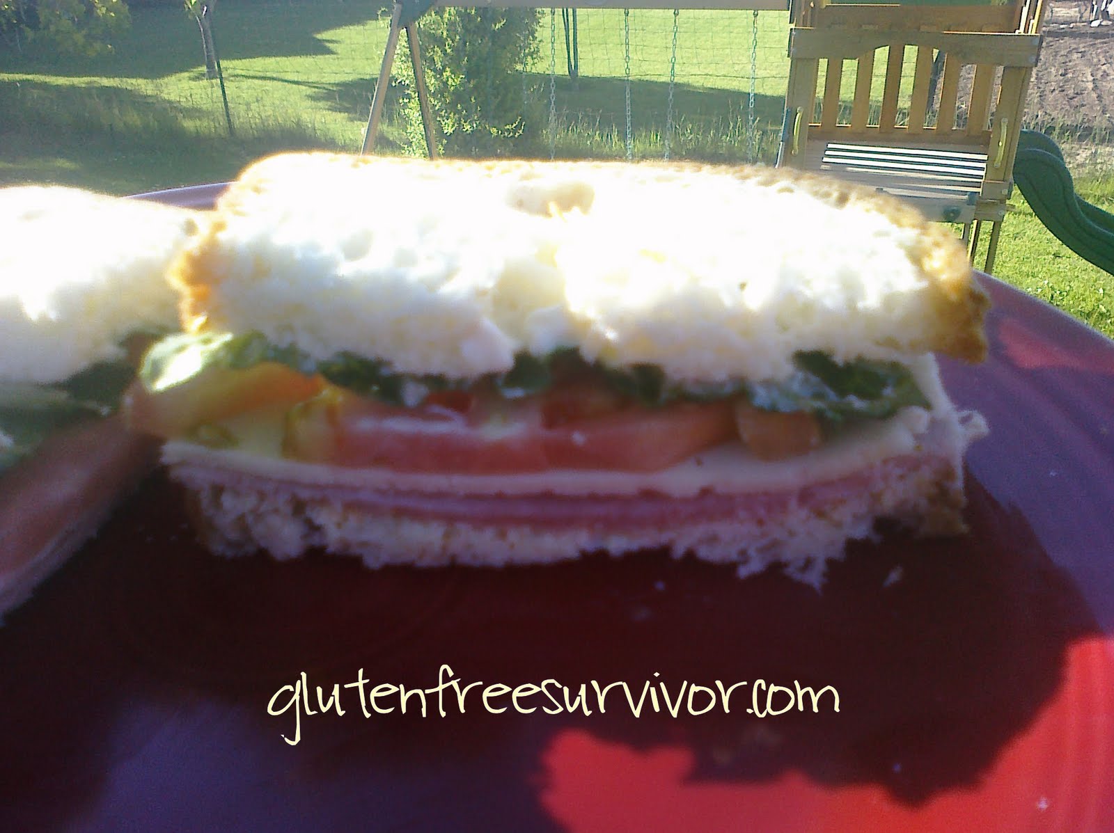 Gluten Free Survivor Udis bread... enough said...