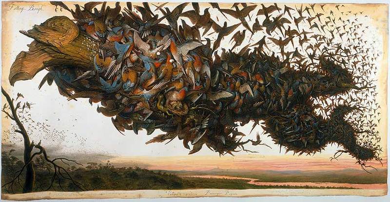 [WaltonFordPigieons.jpg]