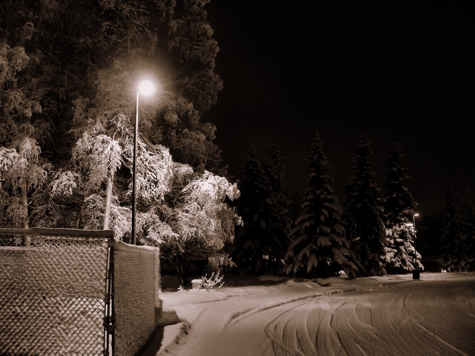 [LightpostBlackANDwhite.JPG]