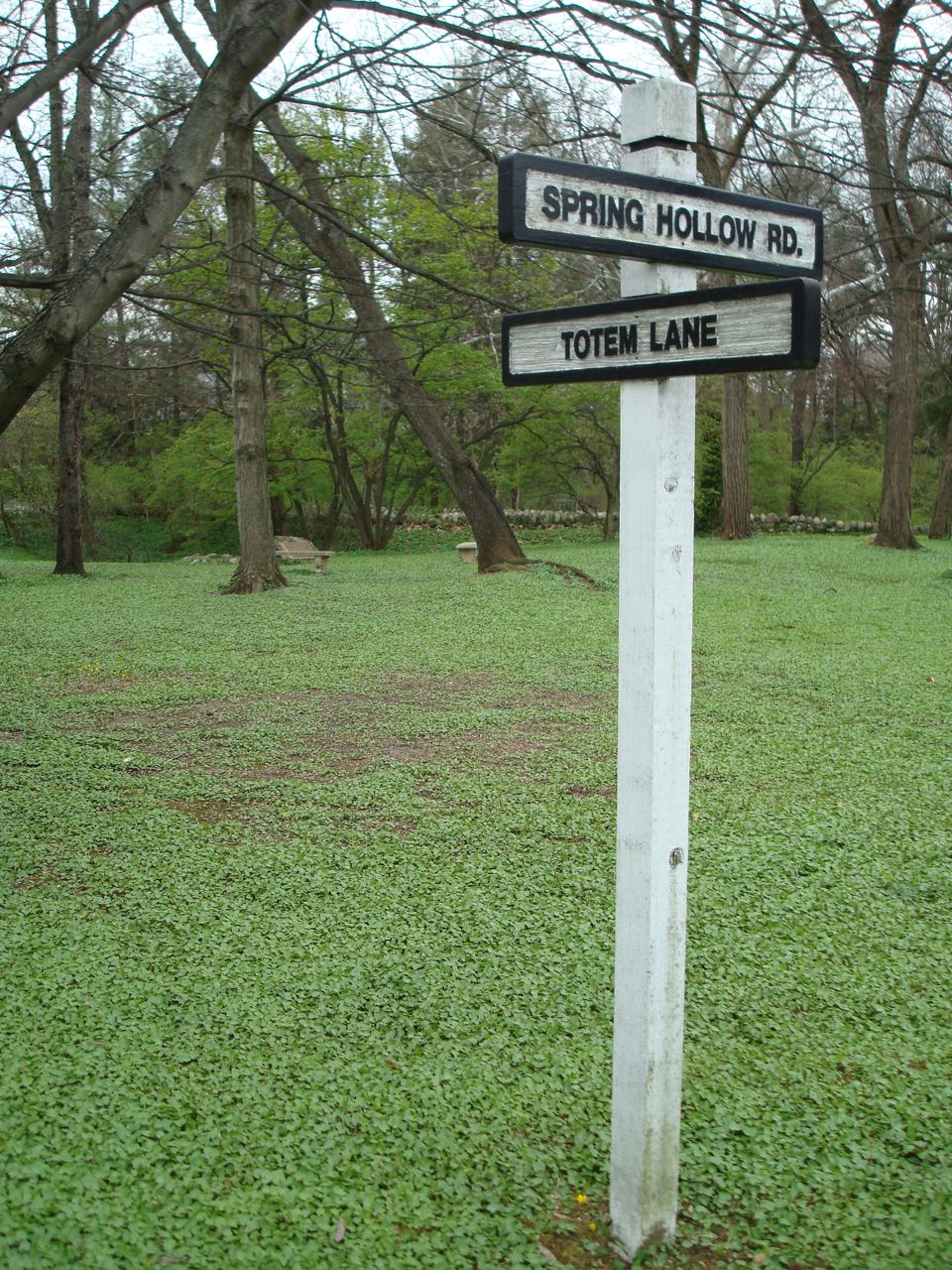 [DSC01039.jpg]