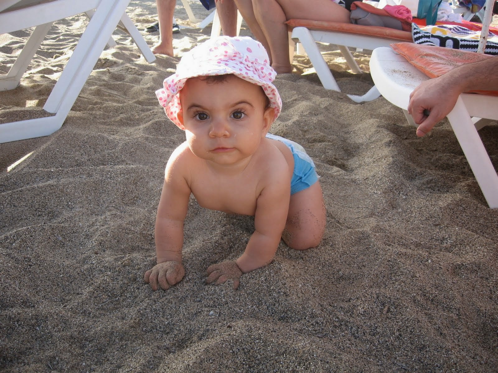 [IMG_4294.JPG]