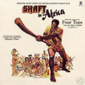 [shaft+in+africa.jpg]