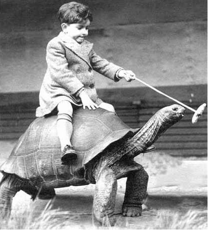 [kid+riding+turtle.png]