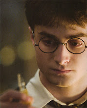Harry Potter e a memória mais preciosa de todas...