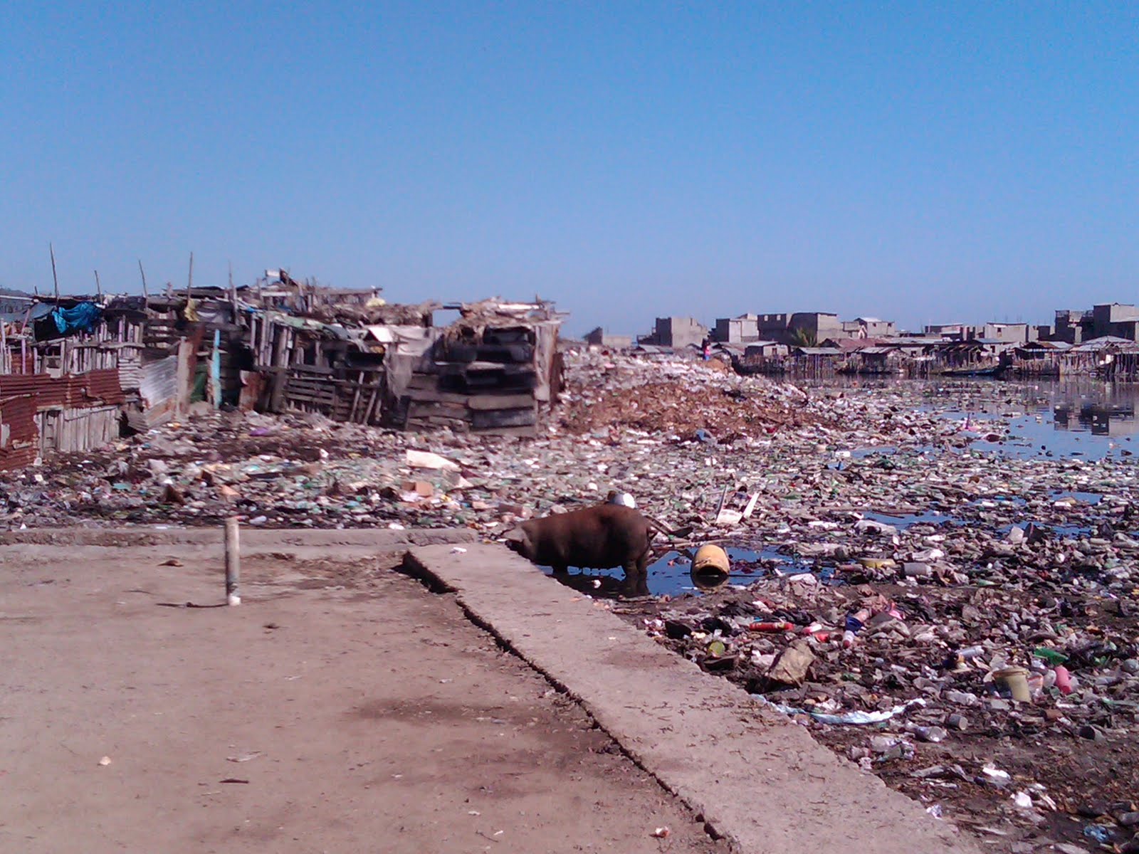 [=?utf-8?B?SU1HMDAwNDQtMjAwOTEyMDItMTAzMC5qcGc=?=-768296]