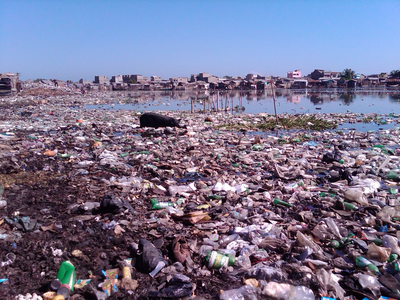 [=?utf-8?B?SU1HMDAwNDItMjAwOTEyMDItMTAyOS5qcGc=?=-770114]