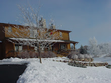 Our log cabin home (minus the snow at this point!)