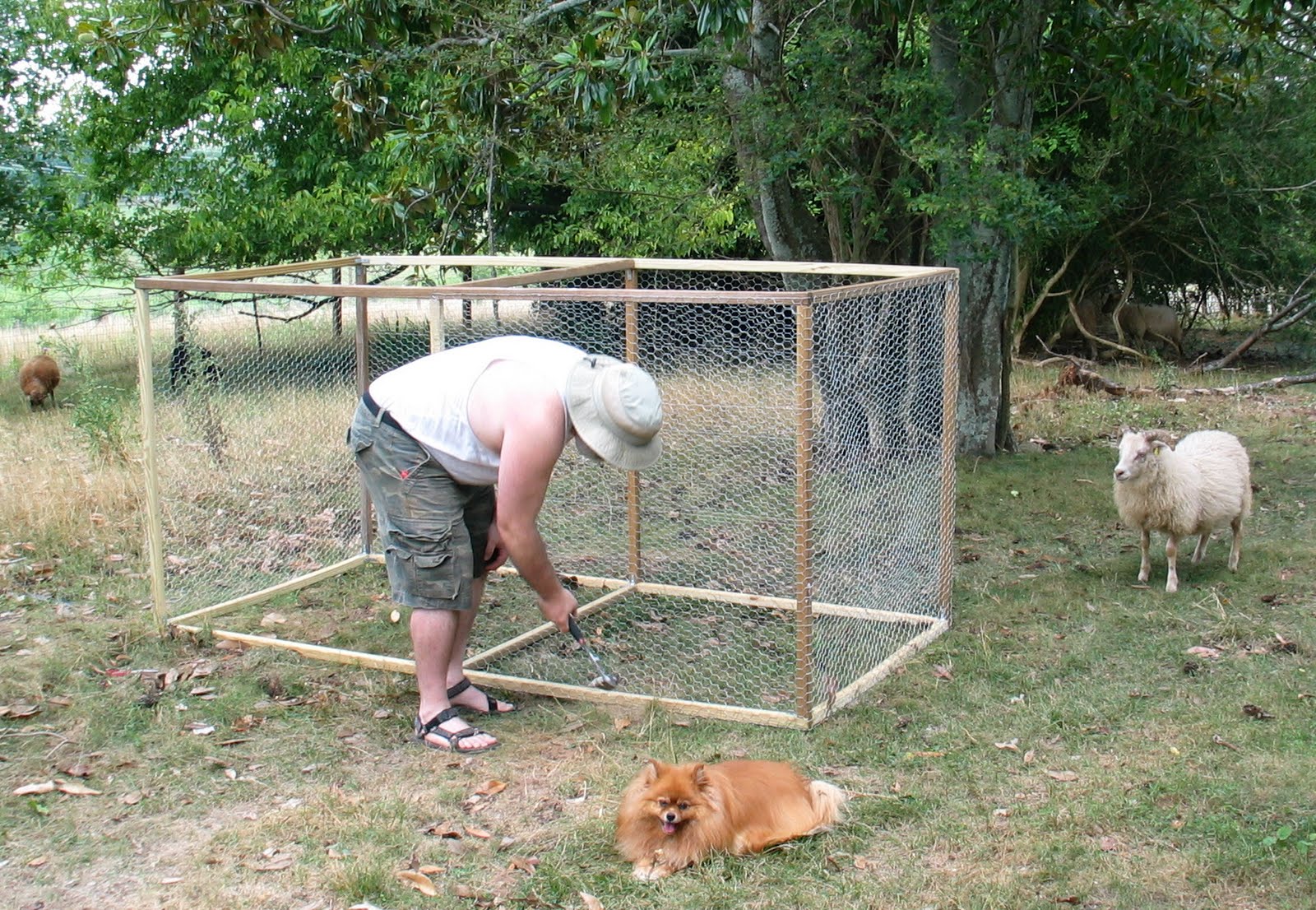 Losing Our Shirts, Keeping The Farm: Building a Portable Chicken Coop