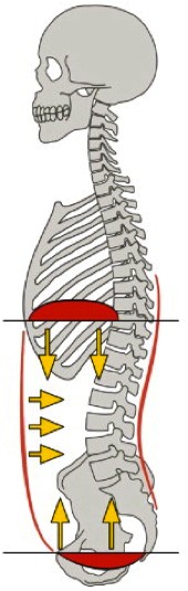 Pelvic Floor Dysfunction Physical Therapy Long Island Pelvic Floor Dysfunction Physical Therapy Long Island