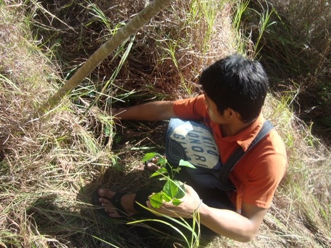 Tree planting of Bombo Radyo at Malasag, CDO