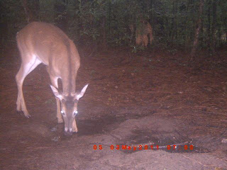 assignment writing help