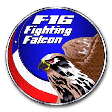 INSIGNIA MATERIAL F-16