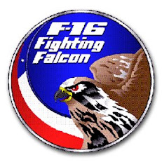 INSIGNIA MATERIAL F-16