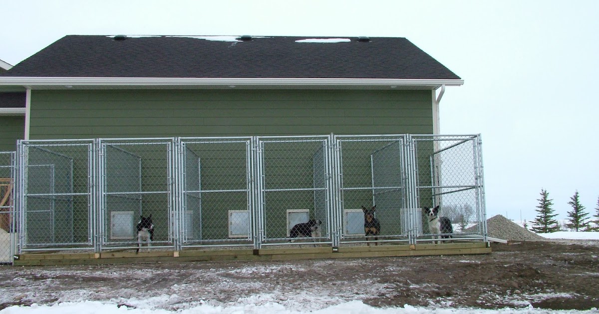 Phantom Ridge Border Collies Kennel is done!