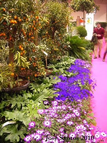 [expojardim2010+5.jpg]