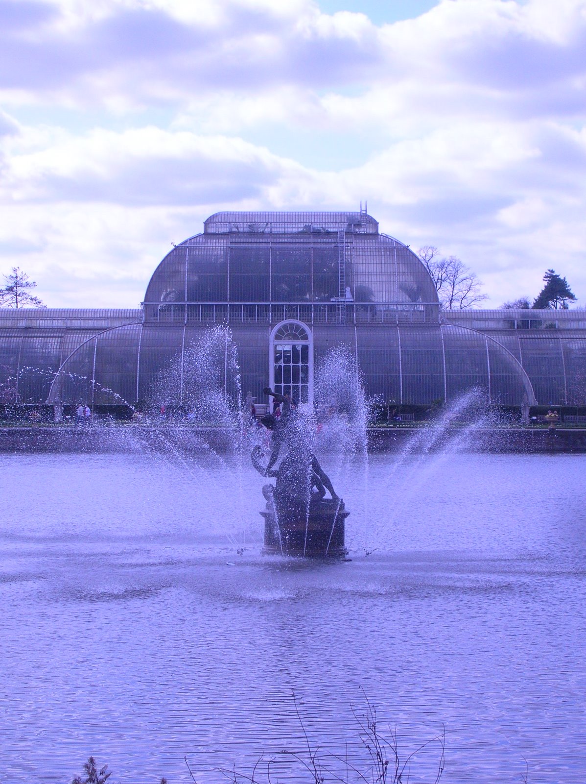 [kew2009+137.JPG]