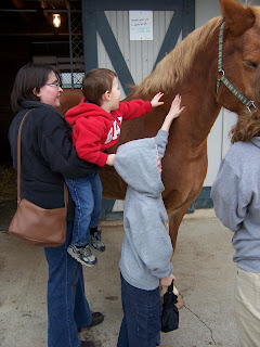 Jeremy & Corbin getting up close with a beautiful horse