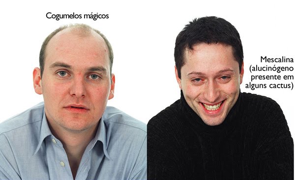 [drogas-3.jpg]