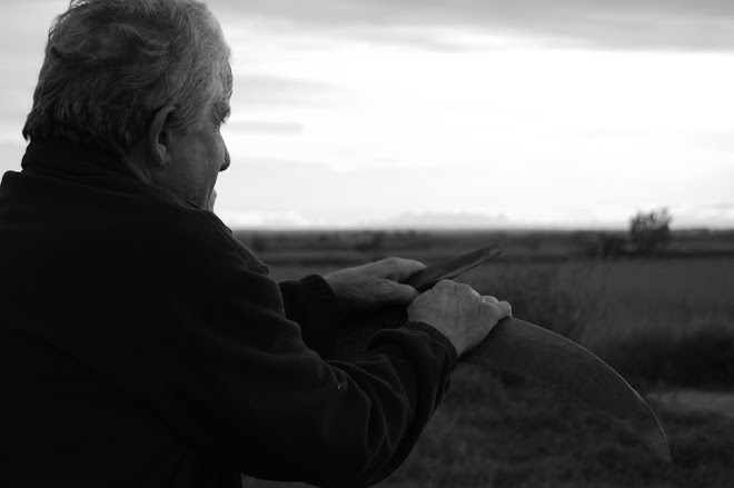 NOVEMBRE 2008:  PARE