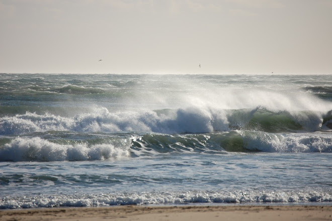 ABRIL 2009: MARE MAR