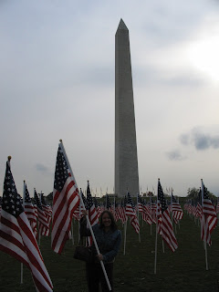 Veteran's Day Flags, DC