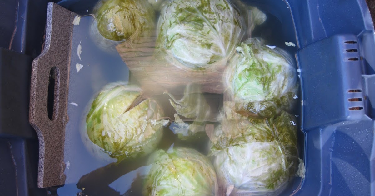 Each Head Is A World My House Smells Like Garbage!