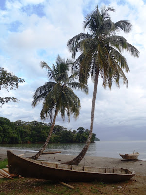 Quinn beach dories