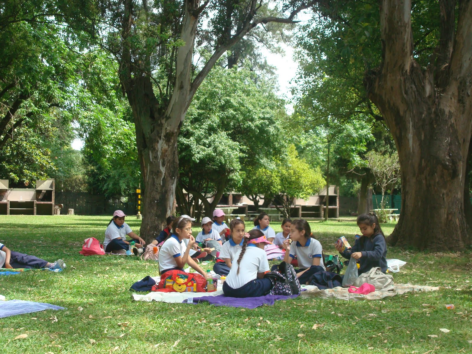 Instituto Manuel Dorrego: Día de Campo de 3º y 4º año Primaria