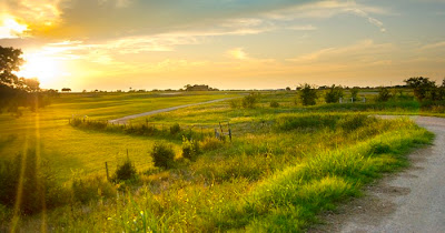 the bridges golf club gunter texas