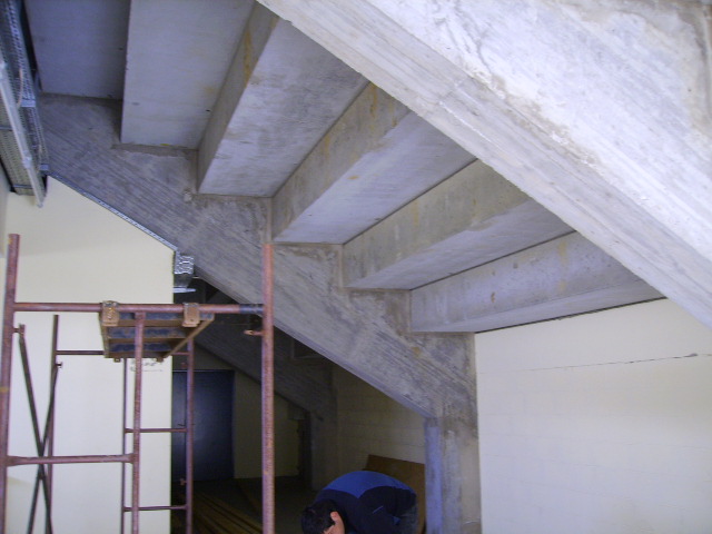 [PICT1126.JPG]